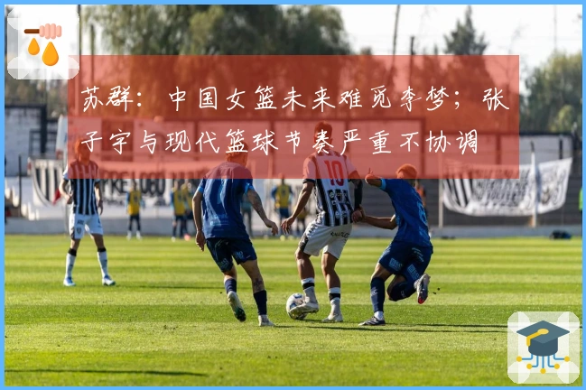 苏群：中国女篮未来难觅李梦；张子宇与现代篮球节奏严重不协调