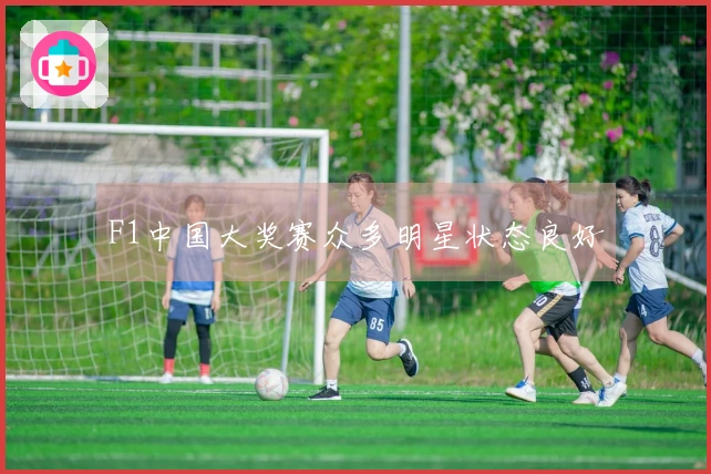 F1中国大奖赛众多明星状态良好